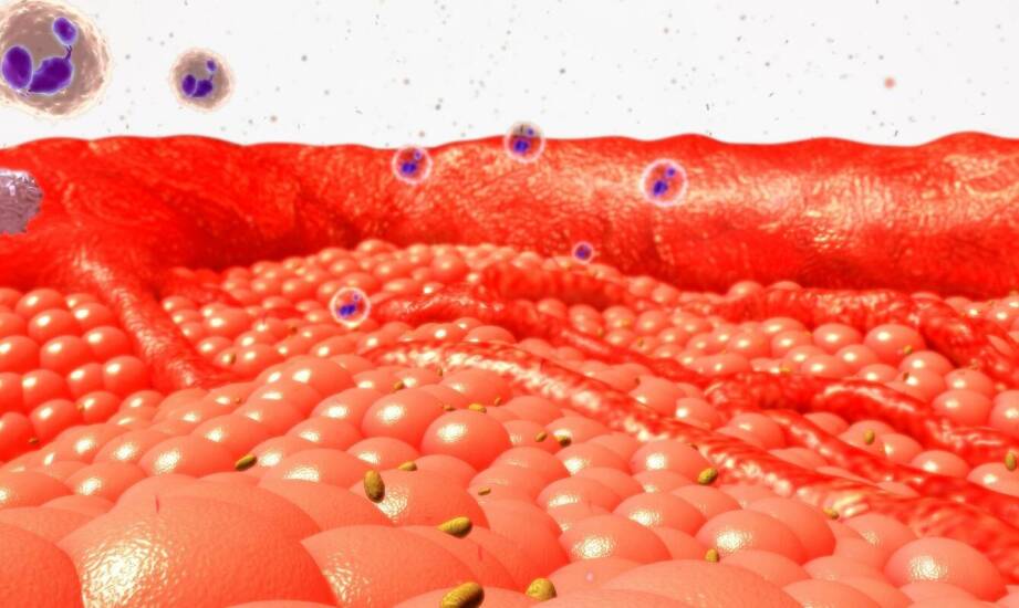 Czym są biostymulatory tkankowe i jak wpływają na kondycję skóry?