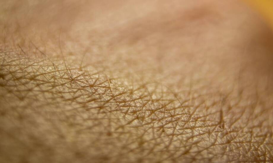 Preparaty hamujące wypadanie włosów - po jakim czasie dają efekt?