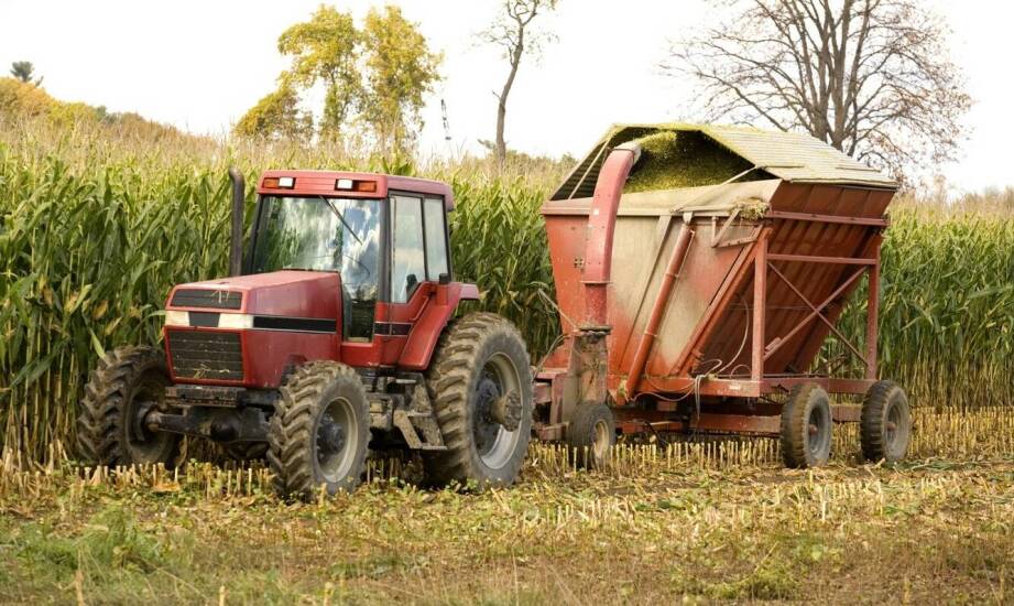 Jak działają poidła dla brojlerów i dlaczego warto je stosować?