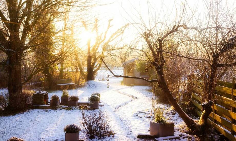 Inspiracje i pomysły na aranżacje ogrodów zimowych w domu oraz mieszkaniu
