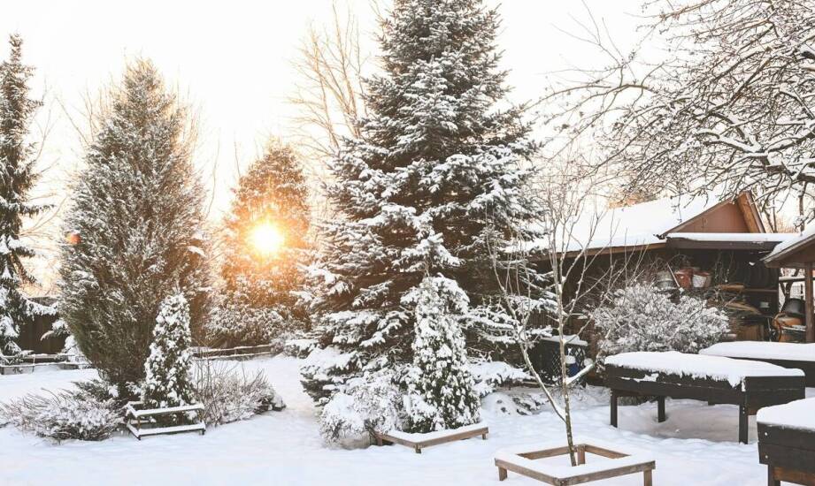 Ogrody zimowe – inspiracje, zalety i możliwości aranżacji przestrzeni