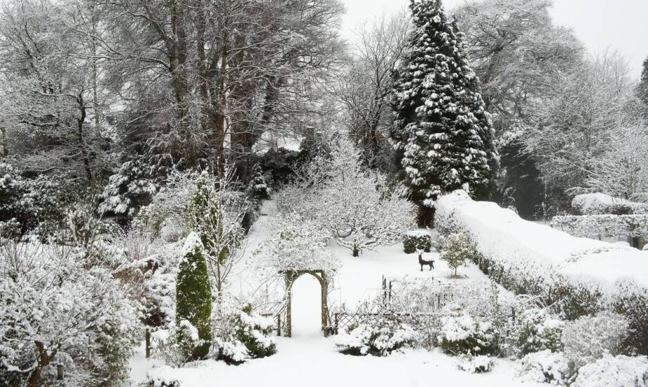 Czym różnią się ogrody zimowe od tradycyjnych ogrodów?