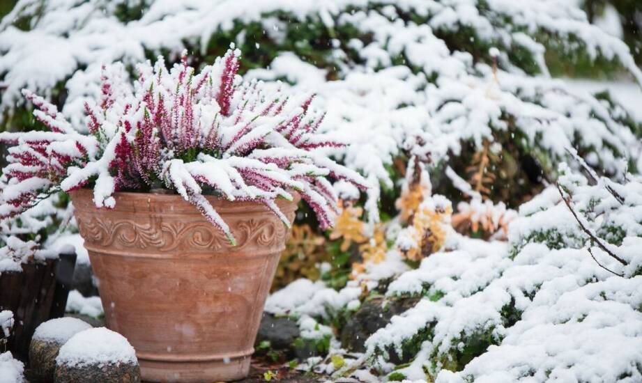 Ogrody zimowe — inspiracje i pomysły na aranżację przestrzeni przez cały rok