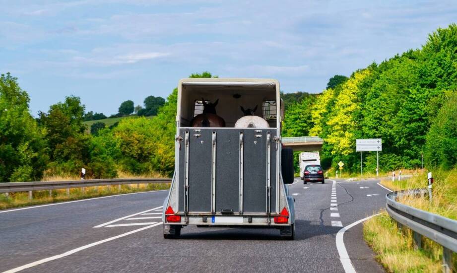 Jak przebiega transport zwłok z zagranicy i o czym warto pamiętać?