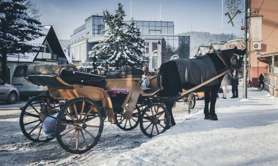 Jak przebiega proces sprowadzenia zwłok z Finlandii do Polski? Sprawdź etapy