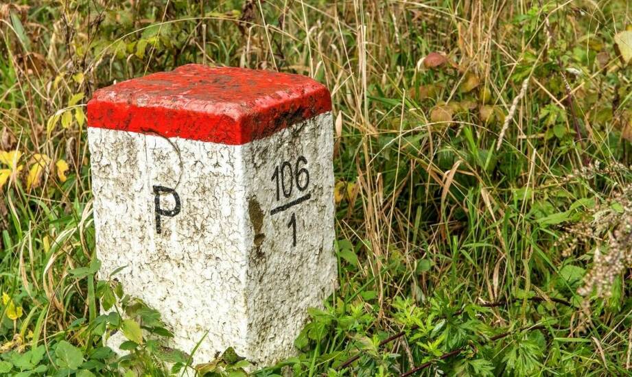 Pomysły na aranżacje nawierzchni z kostki brukowej do każdego ogrodu