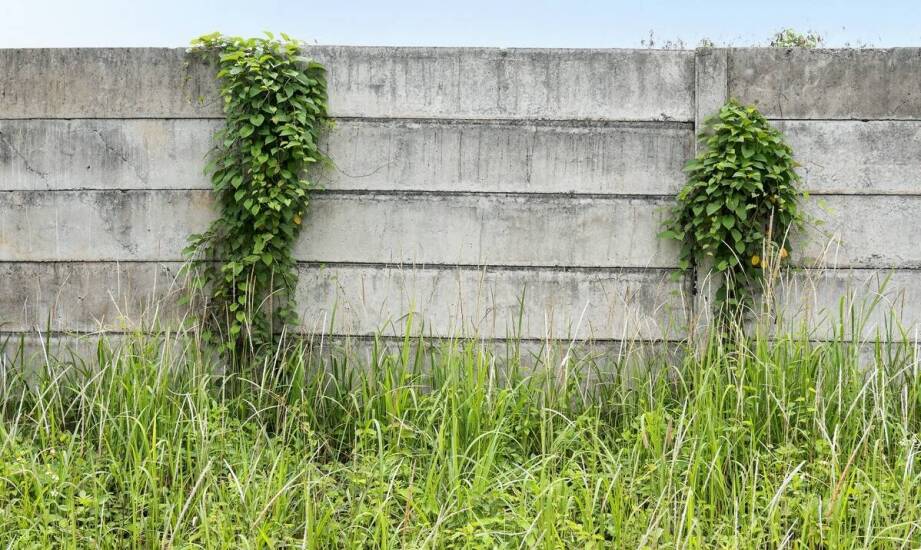 Ogrodzenia betonowe – trwałość, estetyka i zastosowania w ogrodzie