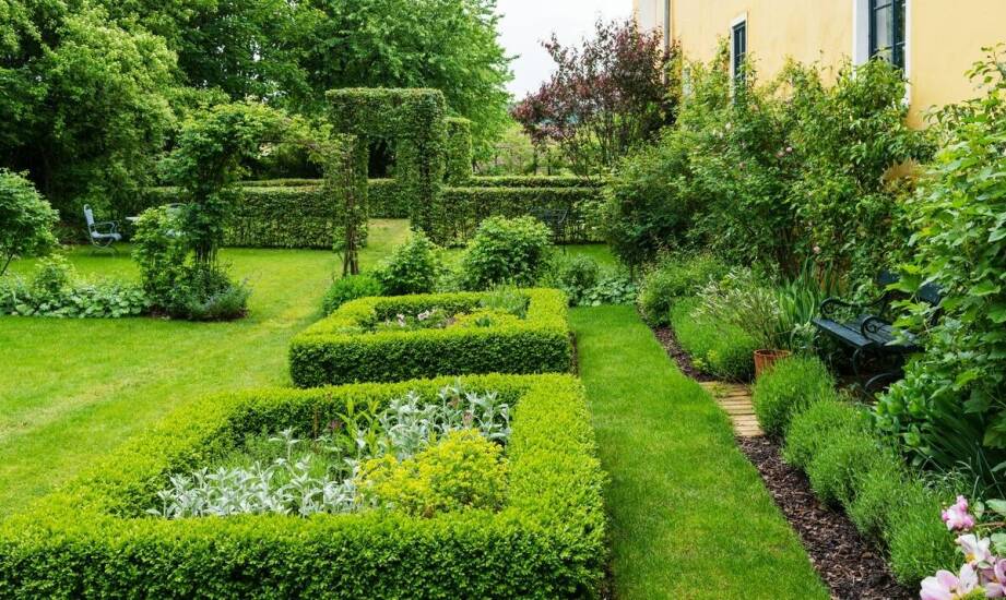 Inspiracje i pomysły na aranżacje ogrodu – trendy w projektowaniu ogrodów