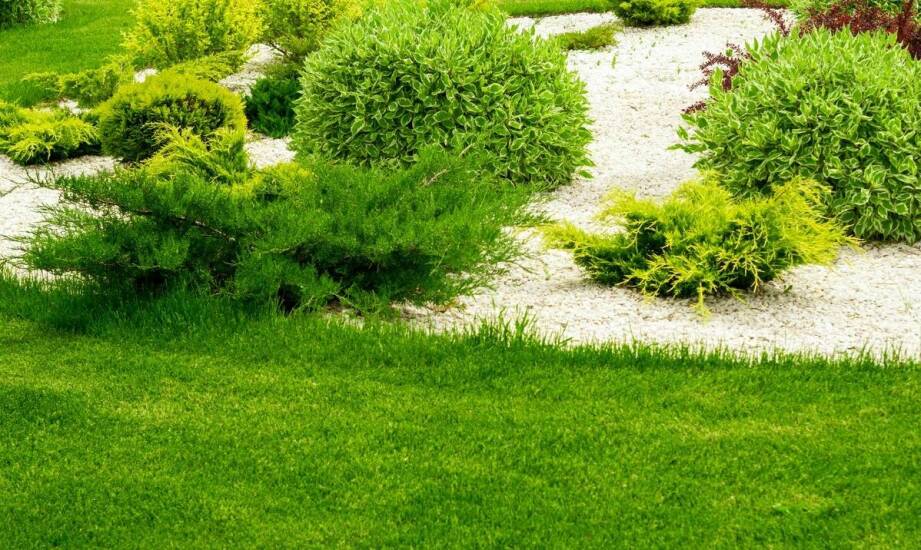 Jak powstają tereny zielone? Etapy urządzania przestrzeni pełnej natury