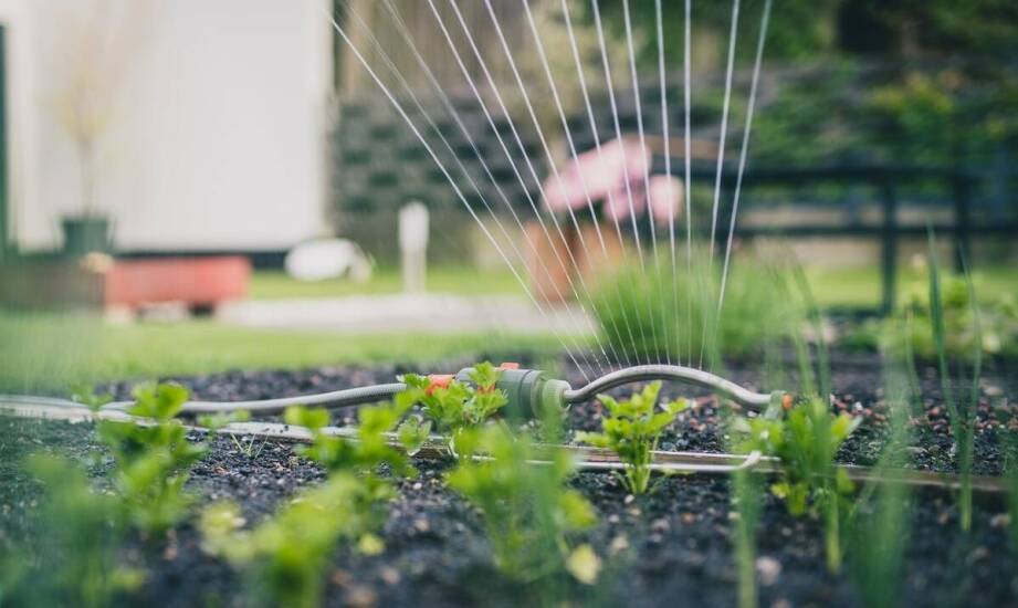 Jak zapewnić optymalne nawodnienie roślin w ogrodzie przez cały sezon