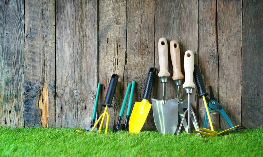 Jak skutecznie przywrócić świeżość trawnikowi po zimie i suszy