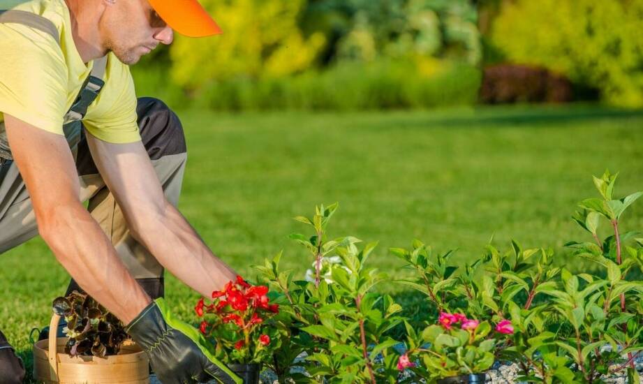 Czym zajmuje się firma ogrodnicza i jakie usługi oferuje?
