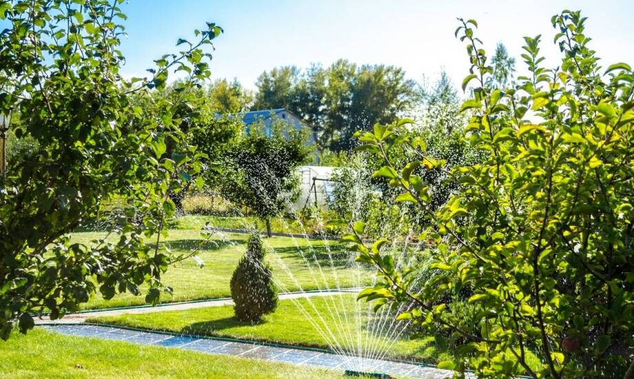 Systemy automatycznego nawadniania ogrodu – jak działają i co warto wiedzieć
