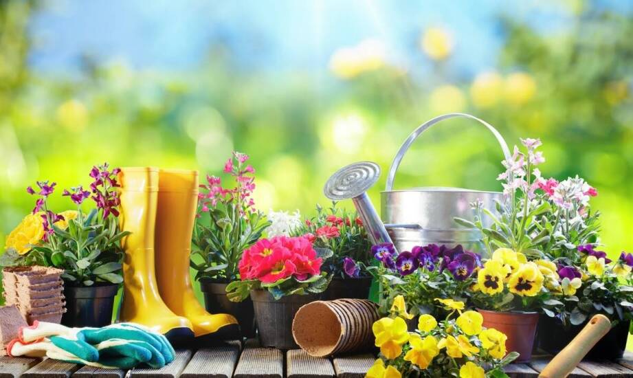Najważniejsze prace ogrodnicze w sezonie – kiedy i jak je wykonywać?