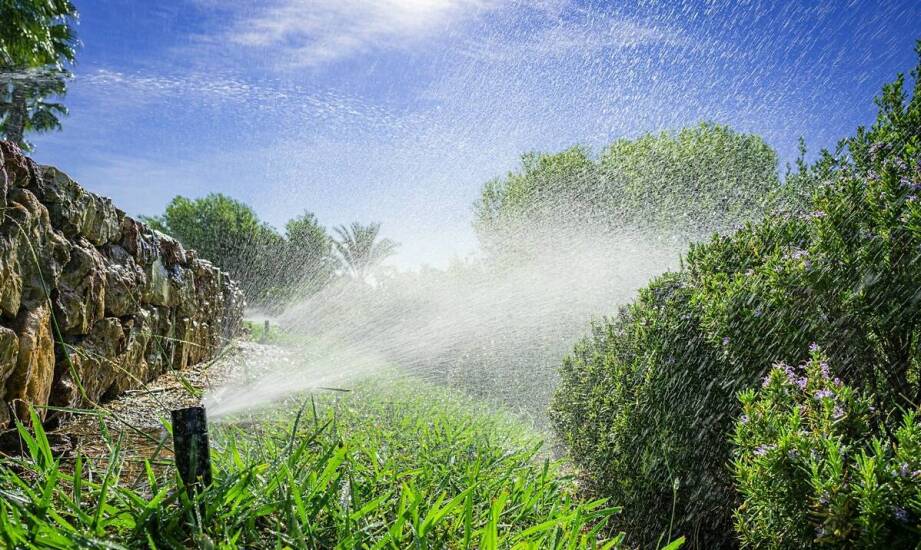Jak działają systemy automatycznego nawadniania i czy warto je mieć w ogrodzie