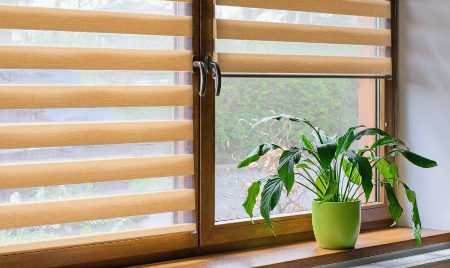 Jak działają rolety okienne zewnętrzne i jakie korzyści zapewniają?