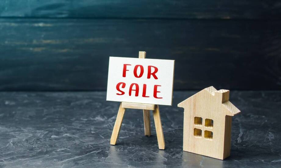 Jak rozpoznać idealny dom i na co zwrócić uwagę przy wyborze nieruchomości