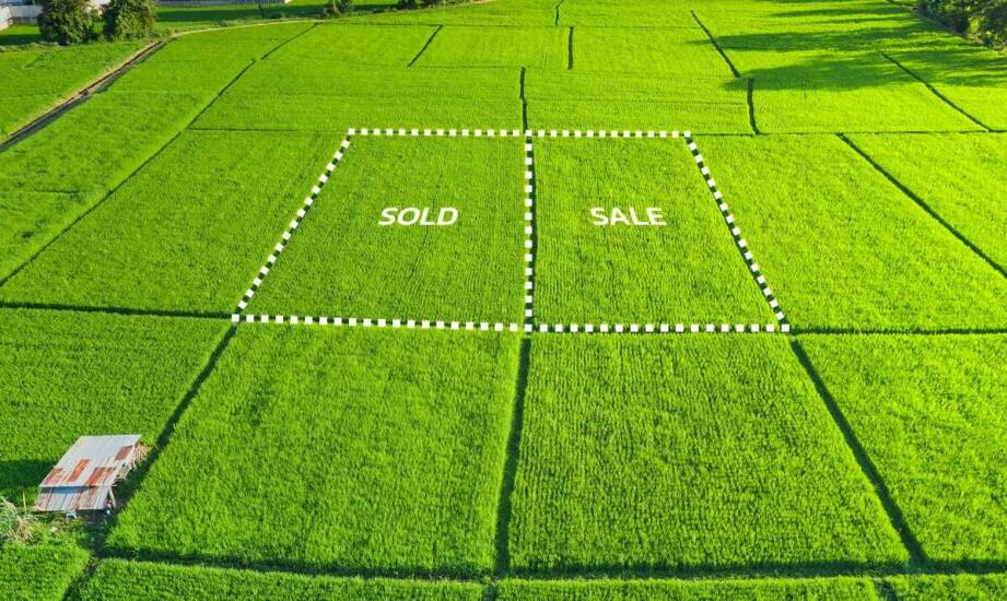 Jak bezpiecznie kupić działkę pod budowę domu – kluczowe informacje i wskazówki