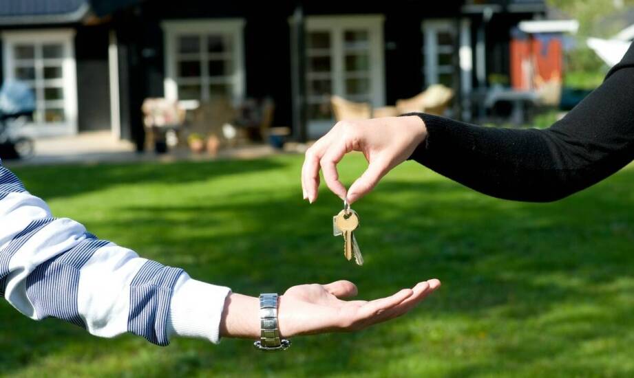 Jak bezpiecznie kupić działkę budowlaną – najważniejsze informacje i wskazówki