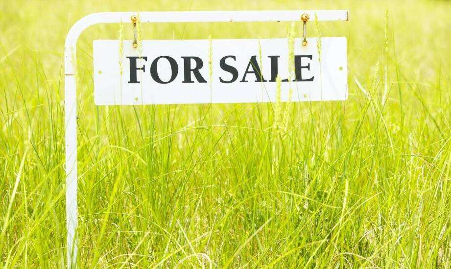 Jak wybrać idealną działkę budowlaną? Najważniejsze aspekty zakupu