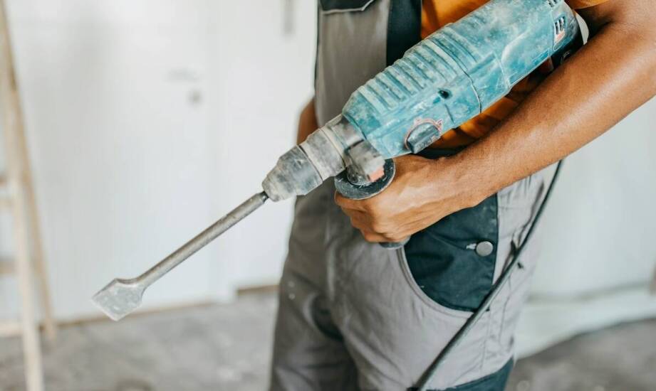 Deratyzacja – na czym polega i kiedy warto ją przeprowadzić?