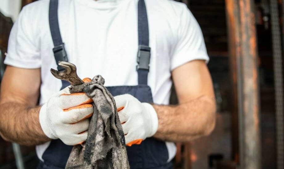 Jak skutecznie pozbyć się gryzoni z domu i ogrodu – sprawdzone sposoby