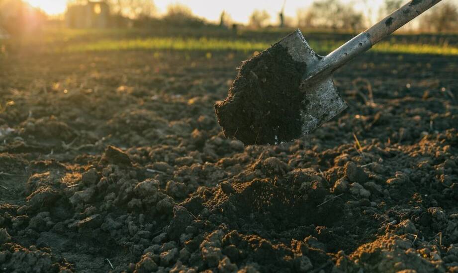 Jak przebiegają roboty ziemne i na co zwrócić uwagę przed rozpoczęciem prac