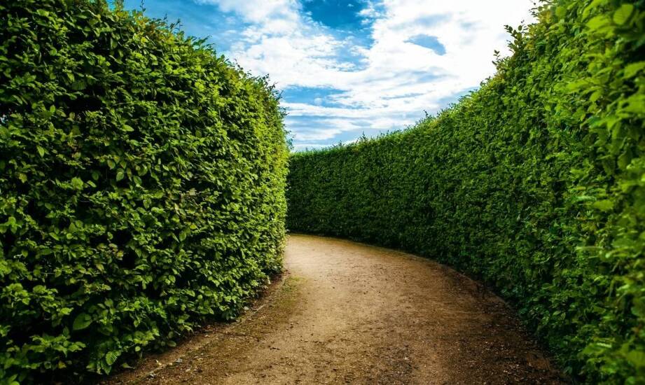 Rodzaje ogrodzeń – na co zwrócić uwagę przy wyborze idealnego rozwiązania