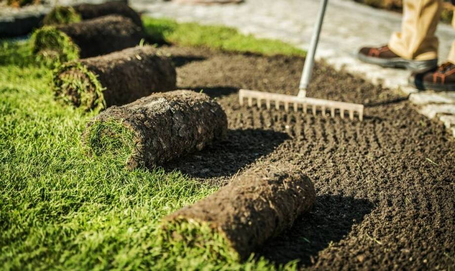 Jak powstają piękne tereny zielone – etapy i najważniejsze zasady zakładania