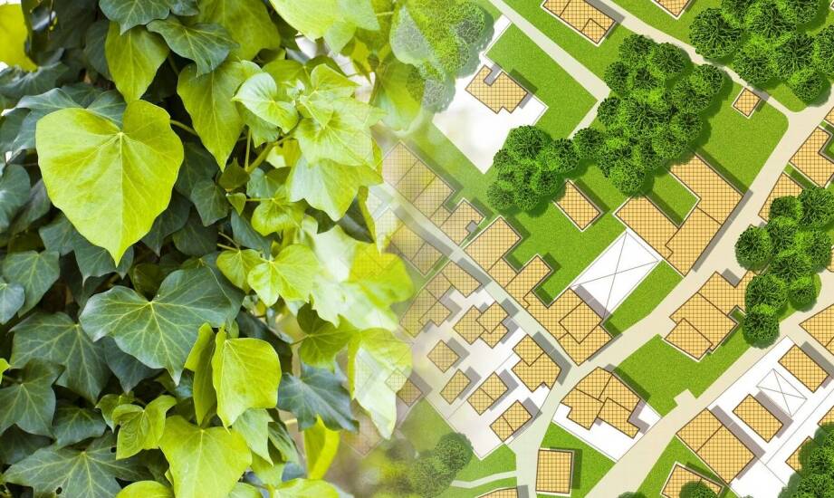 Jak powstają tereny zielone – etapy tworzenia przestrzeni pełnej natury