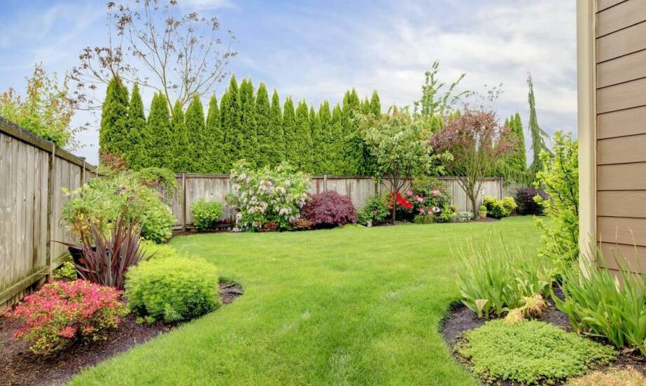 Jak krok po kroku stworzyć funkcjonalny i estetyczny teren zielony