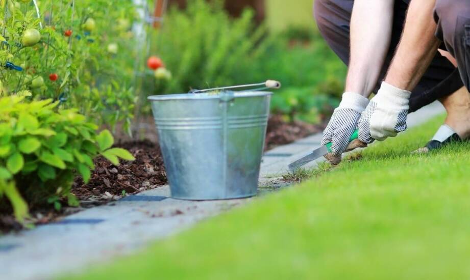 Jak przebiega tworzenie terenów zielonych – etapy, inspiracje, korzyści