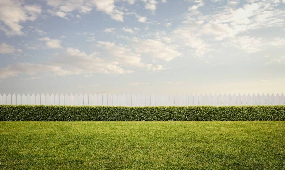 Jakie ogrodzenie wybrać? Przegląd popularnych rozwiązań i materiałów