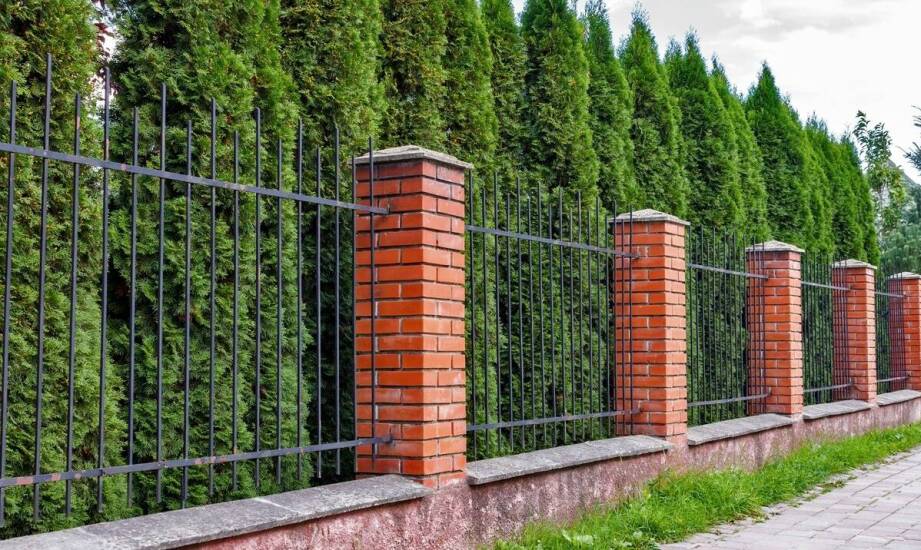 Najpopularniejsze rodzaje ogrodzeń – przegląd rozwiązań i inspiracji