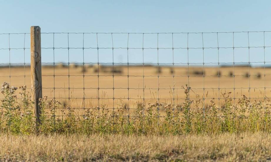 Jak wybrać trwałe i estetyczne ogrodzenie – praktyczne wskazówki i inspiracje