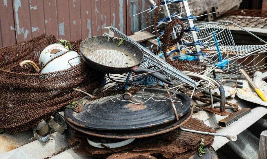 Najlepsze sposoby na zwalczanie pcheł – jak skutecznie pozbyć się problemu