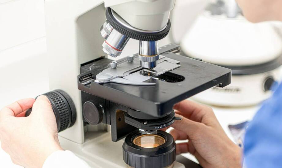 Mikroskopy AFM – zasada działania i znaczenie w badaniach naukowych