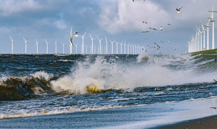 Morskie farmy wiatrowe – jak działają i jakie mają znaczenie dla energetyki