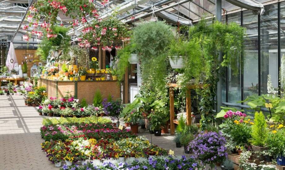 Centrum ogrodnicze – co można znaleźć i jak wybierać najlepsze rośliny