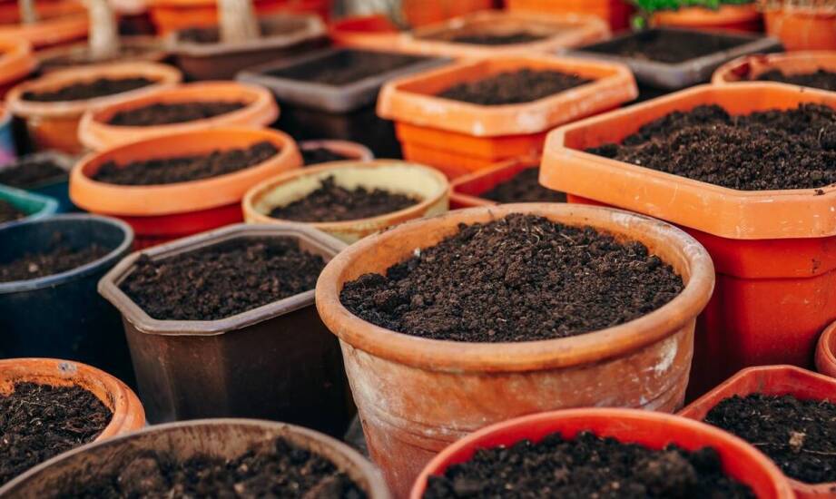 Ziemia ogrodowa – rodzaje, właściwości i zastosowania w uprawie roślin