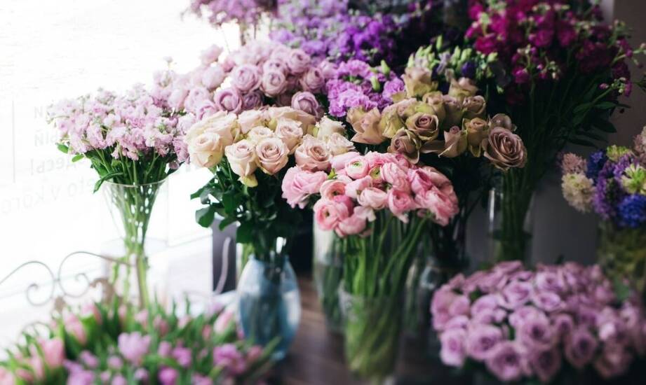 Kwiaty rabatowe – najlepsze gatunki i inspiracje na efektowną rabatę