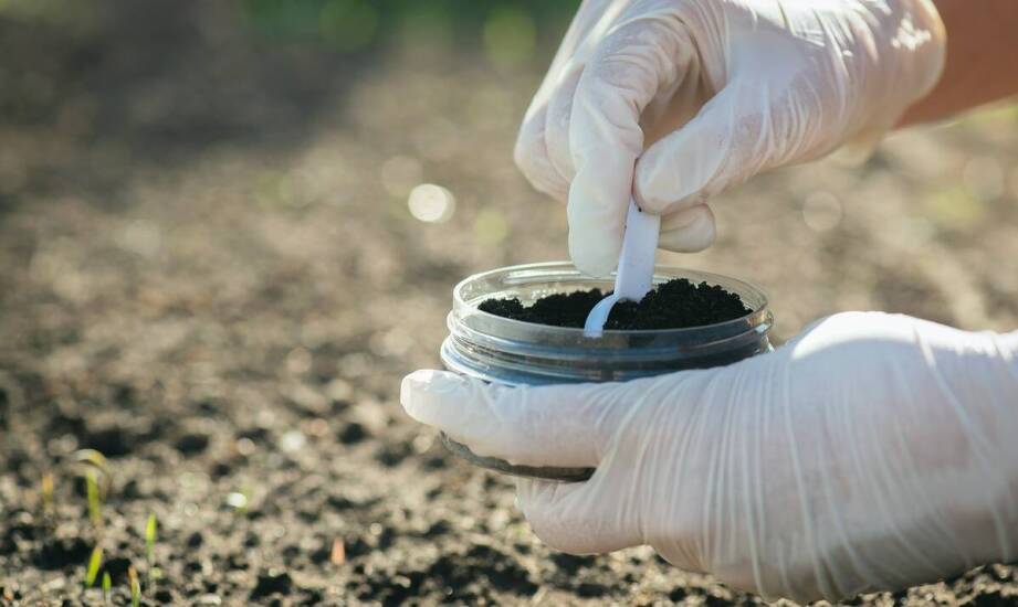 Nawozy mineralne w ogrodnictwie – kiedy stosować i jak wpływają na rośliny