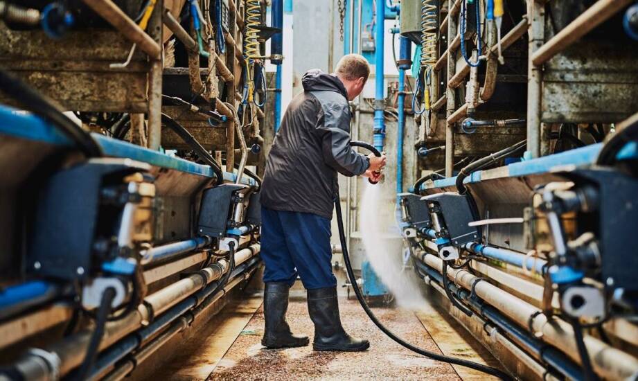 Jak czyściwa wykorzystywane są w przemyśle? Praktyczne informacje i zastosowania