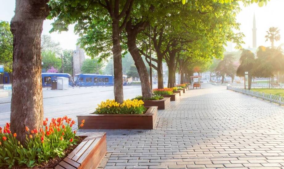 Jakie możliwości daje brukarstwo przy aranżowaniu przestrzeni wokół domu?