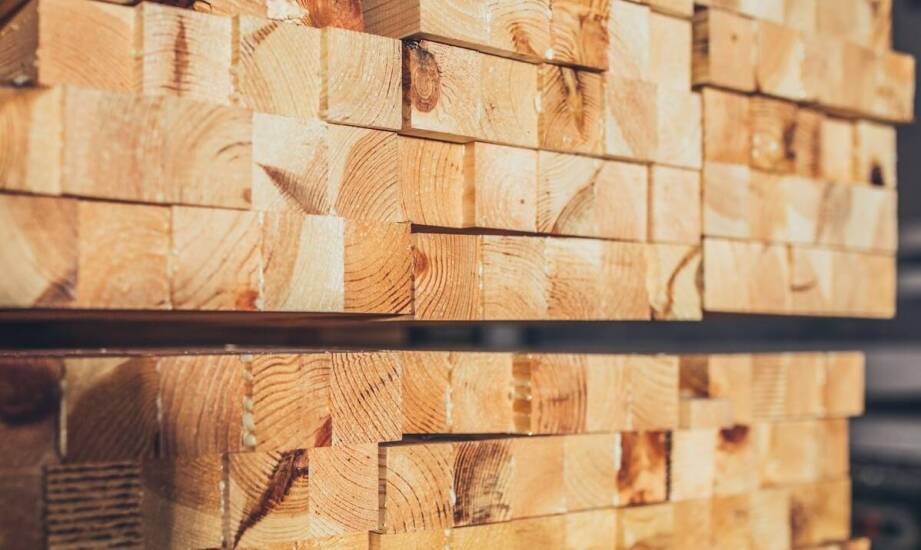 Jak wybrać brykiet drzewny? Rodzaje, właściwości i najważniejsze informacje