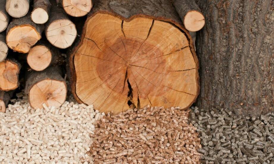 Pellet drzewny – najważniejsze cechy, zastosowanie i sprawdzone porady