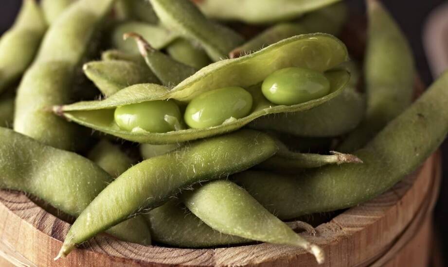 Ekogroszek workowany – najważniejsze zalety, zastosowanie i kwestie wyboru