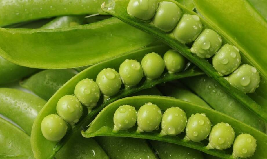 Ekogroszek – jak powstaje, właściwości i wpływ na nowoczesne ogrzewanie