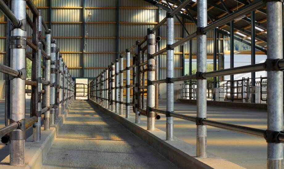 Nowoczesne hale przemysłowe – kluczowe rozwiązania i technologie branżowe