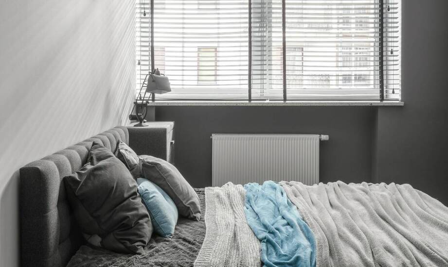 Dlaczego warto zdecydować się na rolety dzień-noc?